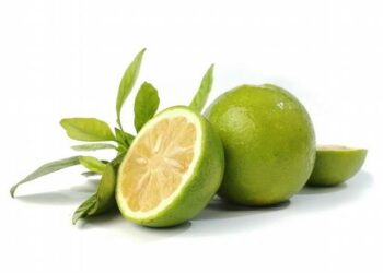 Orégano y naranja agria, ingredientes esenciales en la cocina dominicana