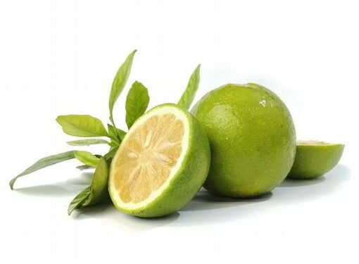 Orégano y naranja agria, ingredientes esenciales en la cocina dominicana