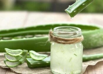 Aprende a hacer una crema casera de aloe vera